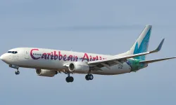 Uçakta sürpriz doğum: Kule görevlisi "Adını Kennedy koysunlar"