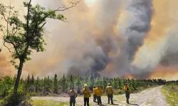 ABD’de alev fırtınası: Florida’da 50’den fazla ev küle döndü!