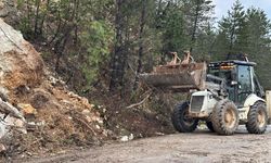 Mengen'de sağanak heyelana neden oldu