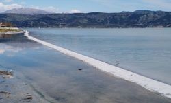 Eğirdir Gölü'nde doğal yürüyüş yolu oluştu