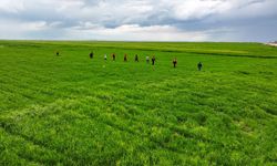 Türkiye bir Narin vakasına daha hazır değil! Yer yine Diyarbakır... 3 yaşındaki Yazgül nerede?