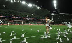 Maça martılar damga vurdu! Oyun durdu...