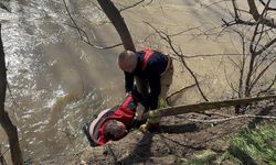 Can pazarı: Nehre düşen kişi için zamanla yarıştılar