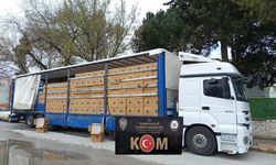 Polisten kaçakçılara geçit yok! 8 milyon boş makaron ele geçirildi