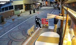 Başıboş köpek saldırısı: 19 yaşındaki genç yaralandı