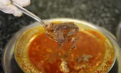 Gaziantep'te şifa kuyruğu: Kelle paça