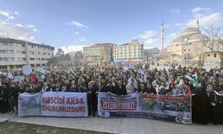 Van'da Gazze'ye destek yürüyüşü yapıldı