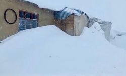 Ağrı'da kış geri döndü! Kar kalınlığı insan boyunu aştı