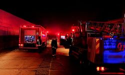 Cemiyet hayatının ünlü ismi Bodrum'da ölümden döndü! Komşuları yardıma koştu