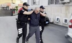 Sahipsiz köpeği sopayla döven şahıs gözaltına alındı