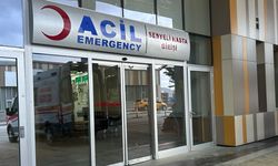 Van'da köpeklerin saldırdığı 5 yaşındaki çocuk hayatını kaybetti