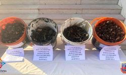 Sason’da endemik bitki operasyonu: 4 kişiye dudak uçuklatan ceza