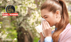 Bahar geldi polen yoğunluğu arttı! Alerjiden korunmak için neler yapmalıyız?