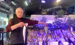 Denizlerde av yasağı başladı! Balıkçılardan 'fiyatlar artacak' uyarısı