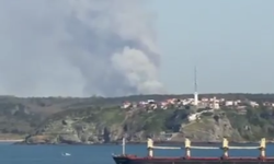 Beykoz'da orman yangını: Çok sayıda itfaiye ekibi sevk edildi