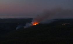 Beykoz'da 3 hektarlık alan küle döndü: Yangına müdahale sürüyor