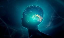 Bilim kurgu gerçek oldu: Dondurulan beyin yeniden çalıştırıldı