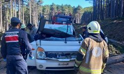 Bursa'da kesilen ağaç kamyonetin üzerine devrildi: 1 ölü, 2 yaralı