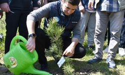 Düzce'de MHP lideri Devlet Bahçeli adına hatıra ormanı oluşturuldu