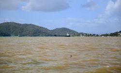 Ege'nin rengi soldu: Deniz suyunun rengi kahverengi oldu!