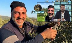 Eren Vural kimdir? Budadığı zeytin ağacı nasıl coşuyor? İşin sırrını anlattı