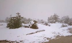 Eskişehir'in yüksek kesimlerinde Nisan sonunda kar yağışı etkili oldu