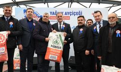 İBB’den Tarıma büyük destek: İstanbul’da ayçiçeği üretimi artıyor