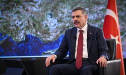 İçişleri Bakanı Çiftçi açıkladı! "Basın kartı ibraz eden gazetecilerden ayrı bir belge istenmeyecek"