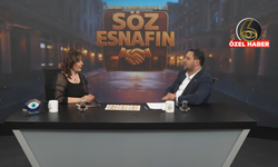 İstanbul taksicilerinin sorunları ve çözüm önerileri