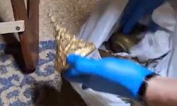 İzmir'de tarihi eser operasyonu: Roma, Helenistik ve Bizans dönemlerine ait eserler...