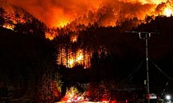 Japonya alevlere teslim : 200 hektarlık alan kül oldu!