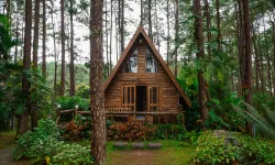 Tarlalarda yeni dönem: Kaçak bungalov ve bağ evleri için 1 ay süre