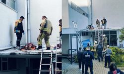 Esenyurt'ta bir sitede korku dolu anlar: Silah sesinin ardından kendini 6. kattan aşağı attı