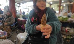 Çanakkale'de gelir kapısı oldu! Masrafı yok, kilosu bin TL