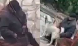 Manisa Turgutlu'da çocuk parkında skandal! Sapık adam kedi ve köpeği istismar etti