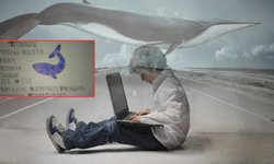 Mavi Balina oyunu nedir, Türkiye'de yasak mı? Aileler dikkat: Dijital dünyadaki görünmez tehlikeye dair tüm gerçekler!