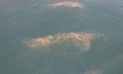 Müsilaj geri mi geliyor? Avcılar'da korkutan görüntü