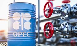 Birleşik Arap Emirlikleri OPEC'ten ayrılıyor