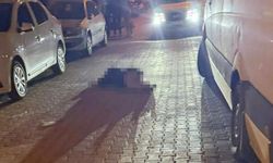 Muğla'da otelde tartıştığı 2 kadını öldürdü! Kaçamayacağını anlayınca kendini vurdu