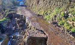 Sinop’ta heyelan yolu çökertti