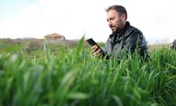 Tarımda yapay zeka devrimi: Çiftçinin sorununu çözen yazılım