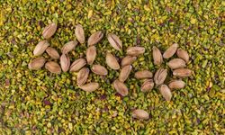 TasteAtlas dünyanın en iyi kuruyemişlerini seçti! Türkiye’den 3 ürün listede!