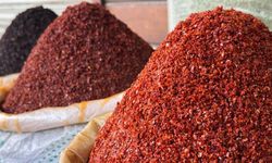 Yılın ilk çeyreğinde dev ihracat! 3.8 milyon dolarlık pul biber...