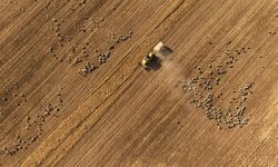 Kırsal Kalkınma Yatırım Programı başvuruları başladı