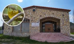 Türkiye'de bir ilk! İzmir'de zeytinyağı kütüphanesi kuruldu