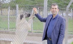 Veteriner hekimler gıda güvencesinin anahtarı