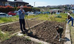 Beylikdüzü hobi bahçeleri’nde fideler toprakla buluştu