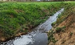 Sinop'taki atık tesisine milyonluk çevre cezası