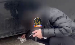 Bursa'da çevreyi kirleten sürücüye ilginç ceza! | VİDEO