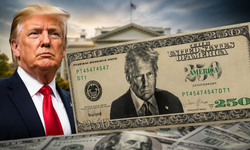 "Trump'ın portresi 250 dolarlık banknota giriyor" iddiası ABD'yi karıştırdı!